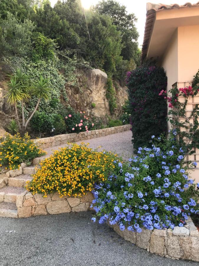 Résidence Terra Théa Hébergement de vacances Propriano (Corsica)