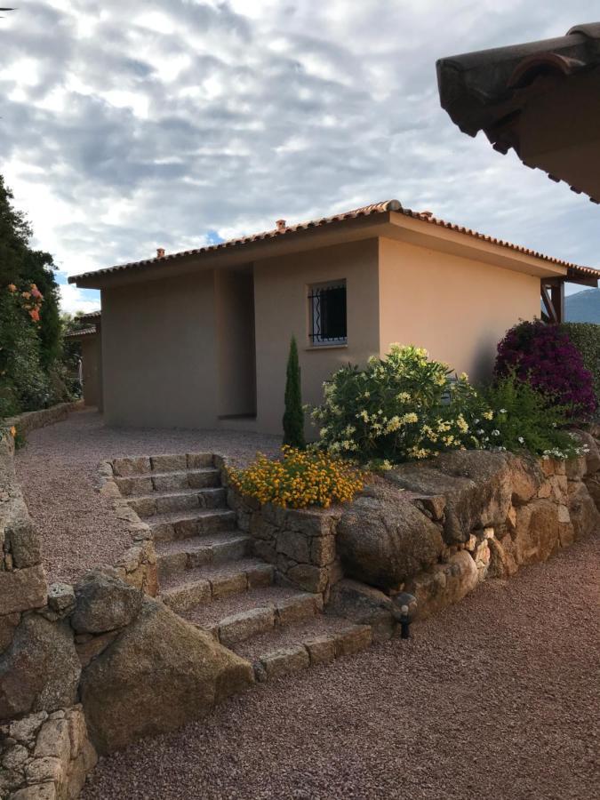 Hébergement de vacances Résidence Terra Théa Propriano (Corsica)