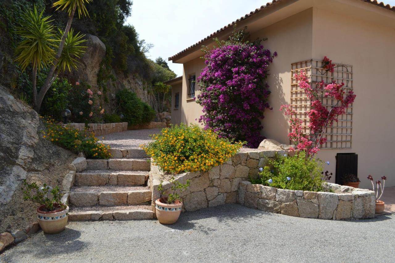Résidence Terra Théa * Propriano (Corsica)