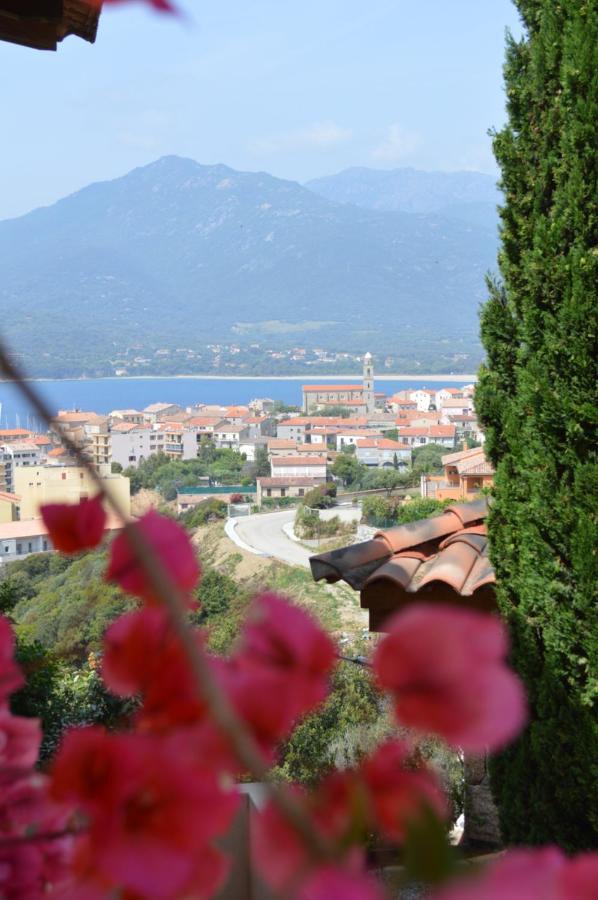 Résidence Terra Théa * Propriano (Corsica)